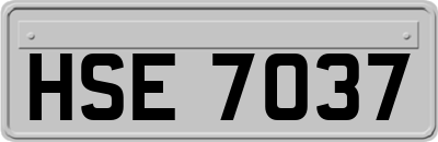 HSE7037