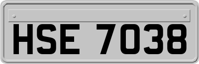 HSE7038