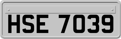 HSE7039