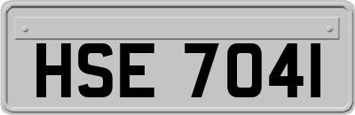 HSE7041