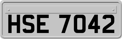 HSE7042