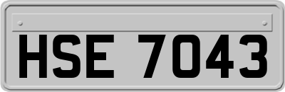 HSE7043