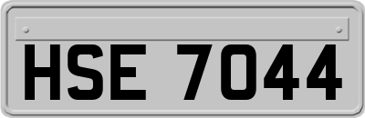 HSE7044