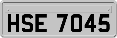 HSE7045
