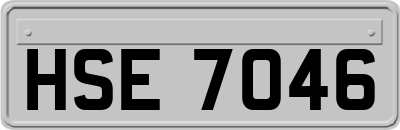 HSE7046