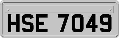 HSE7049