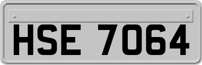 HSE7064