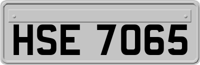 HSE7065