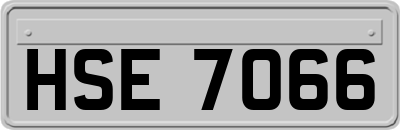 HSE7066
