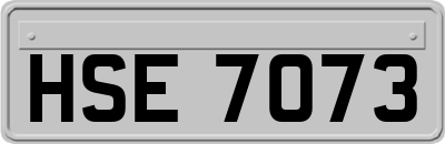HSE7073
