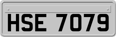 HSE7079