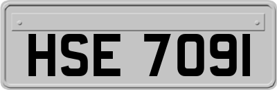 HSE7091