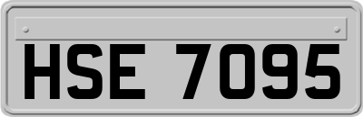 HSE7095