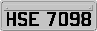 HSE7098