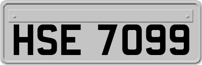 HSE7099