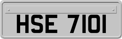 HSE7101