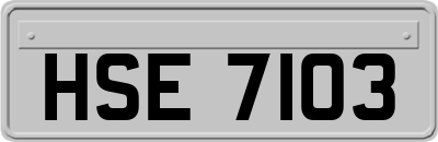 HSE7103