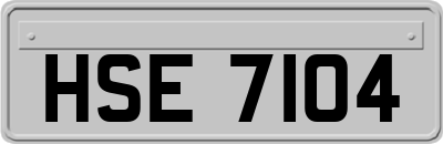 HSE7104