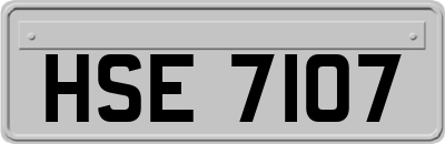 HSE7107