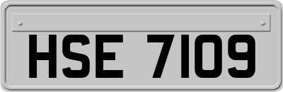 HSE7109