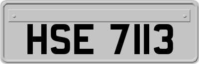 HSE7113