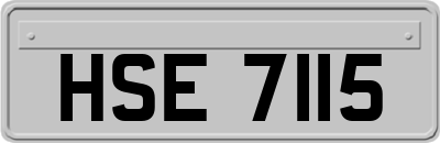 HSE7115