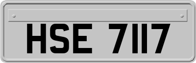 HSE7117