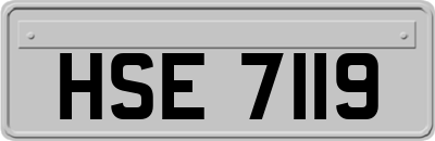 HSE7119