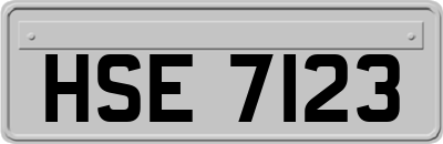 HSE7123