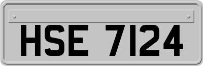 HSE7124