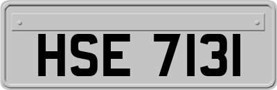 HSE7131