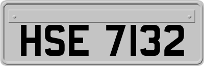 HSE7132