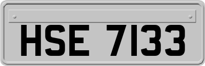 HSE7133