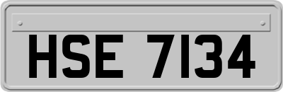 HSE7134