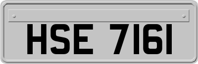 HSE7161