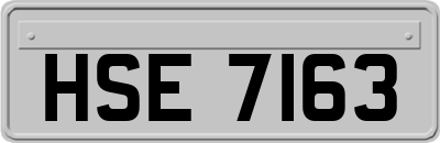 HSE7163