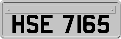 HSE7165