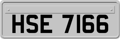 HSE7166