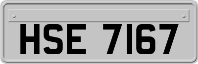 HSE7167
