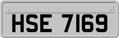HSE7169