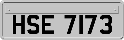 HSE7173