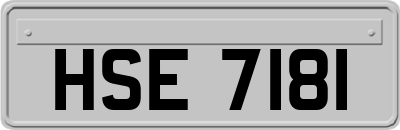 HSE7181