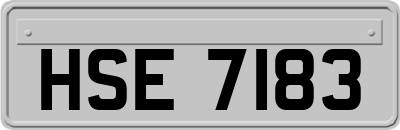 HSE7183