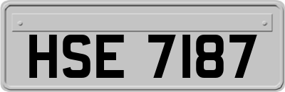 HSE7187