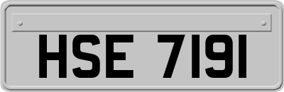 HSE7191