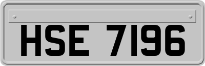 HSE7196