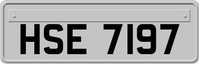 HSE7197