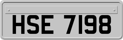 HSE7198
