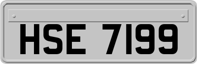 HSE7199