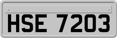 HSE7203